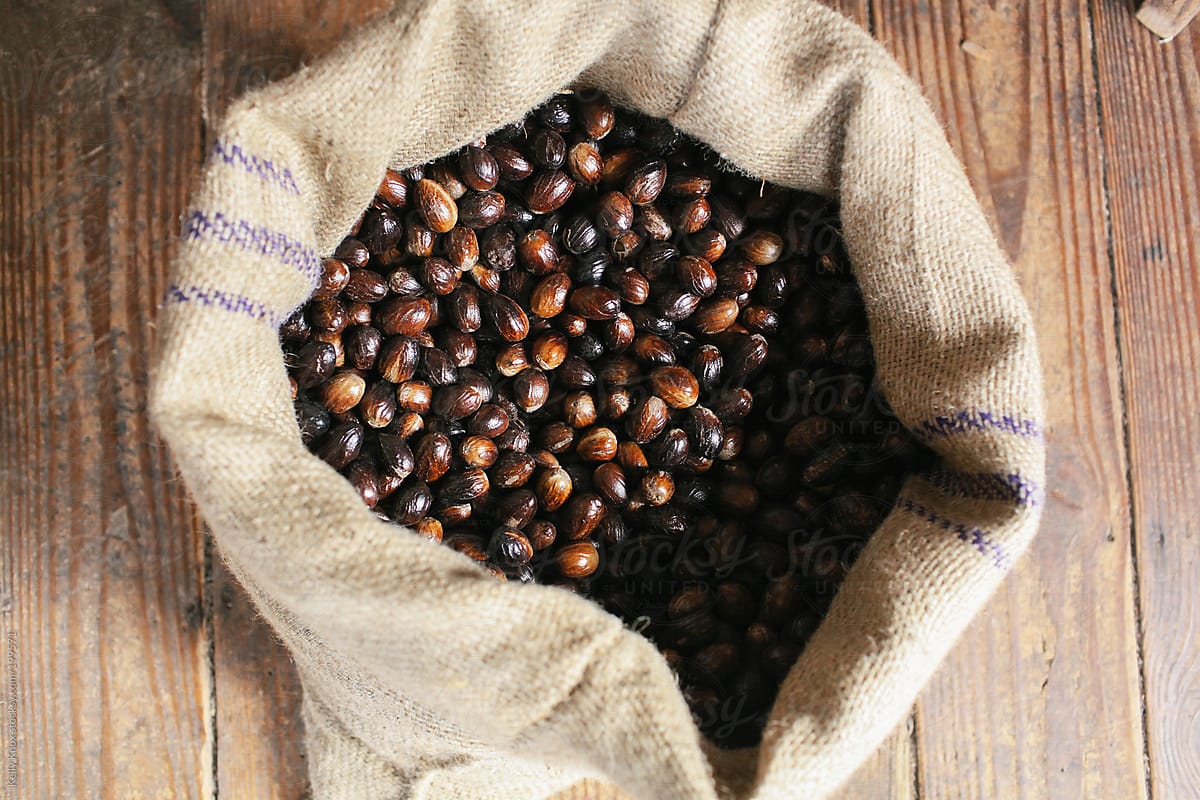 nutmeg drying in a burlap bag