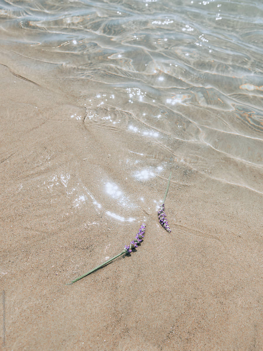Stems of floating lavender flower on sparkling blue ocean water