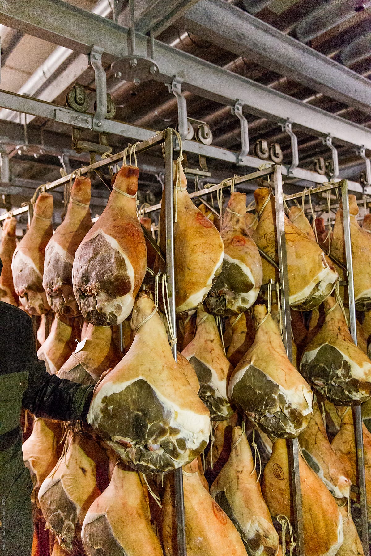Whole Legs of Proscuttio di Parma Ham Hanging to Dry