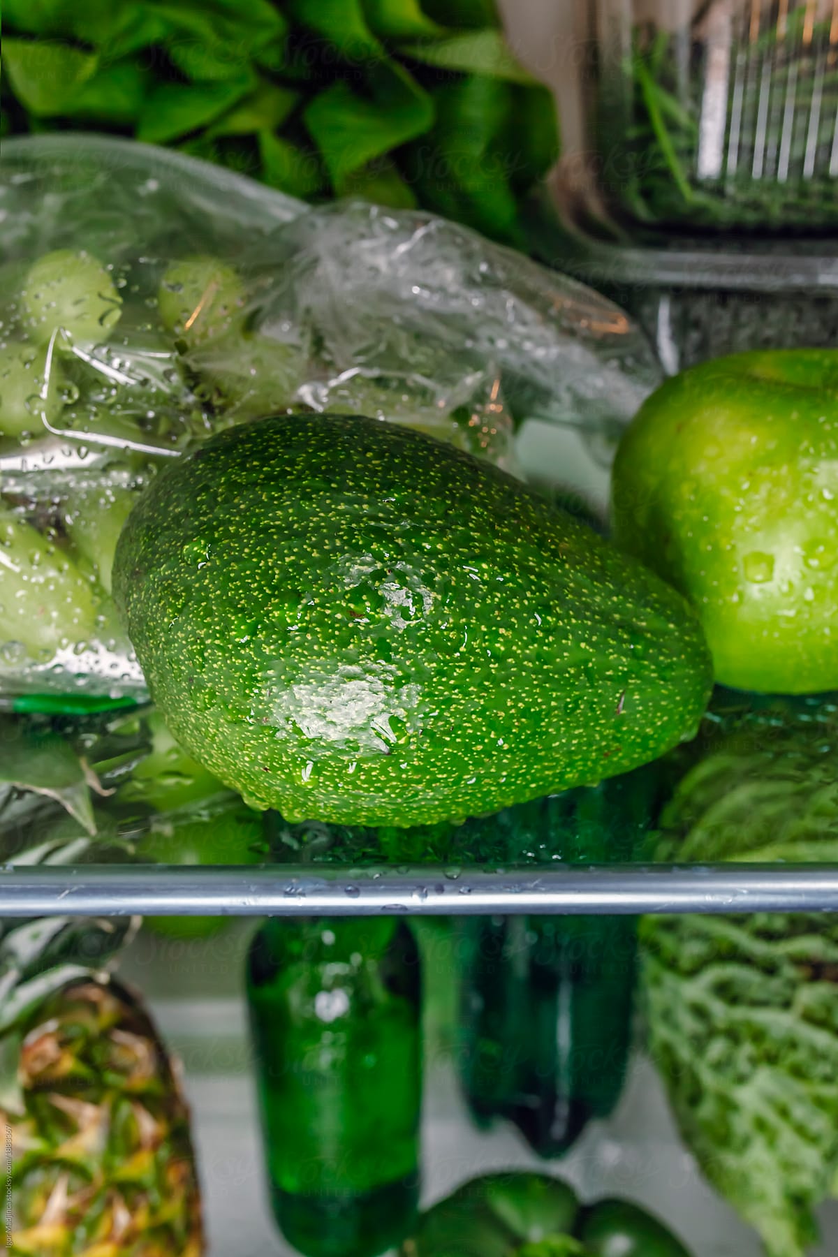 avocado,green,food,fresh,meal,fridge