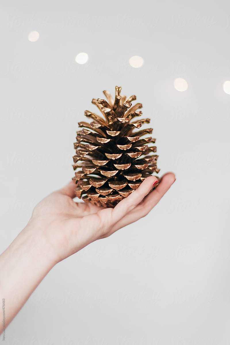 Hand holding a golden pine cone
