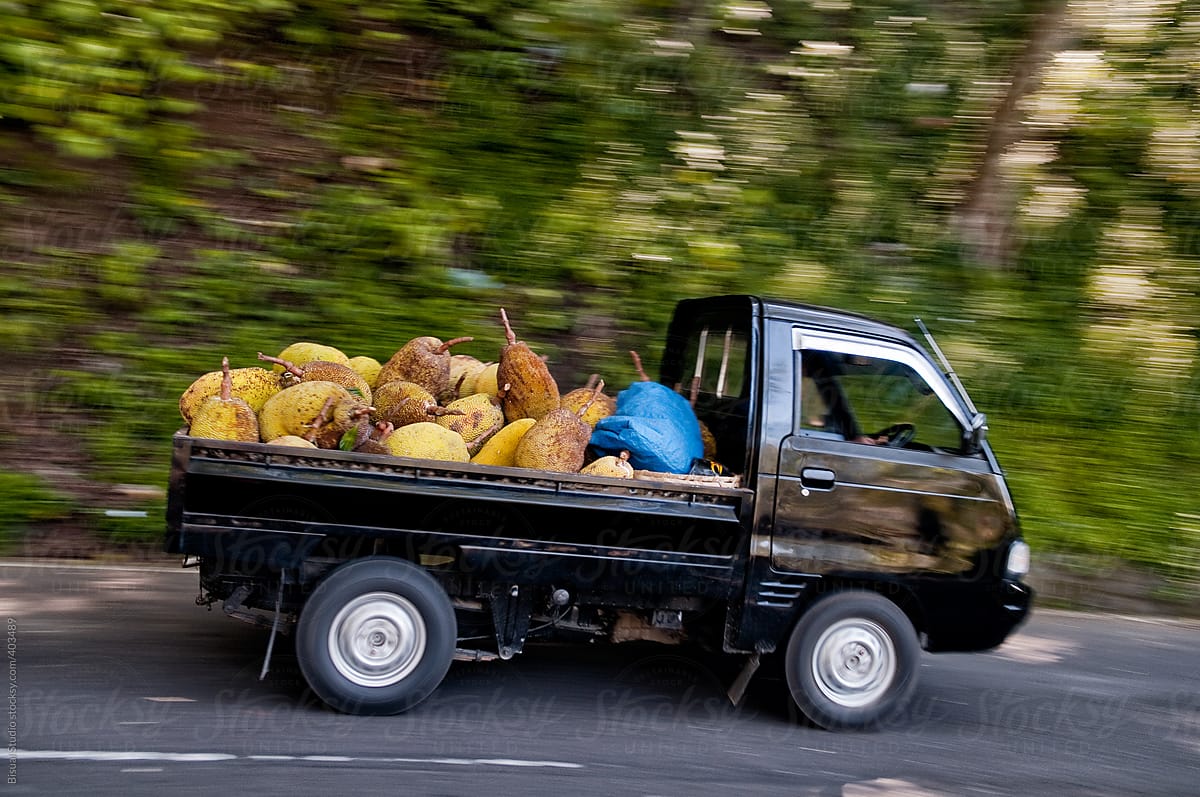 Durians in a van