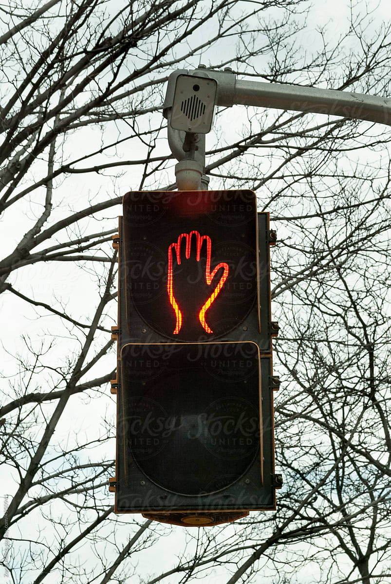 Pedestrian signal
