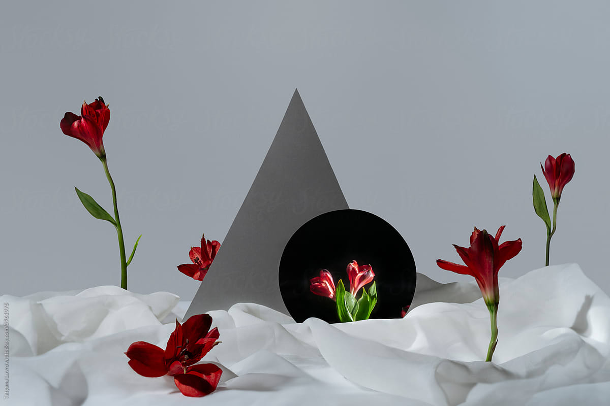 Abstract still life with geometric shapes, mirror, cloth, red flowers