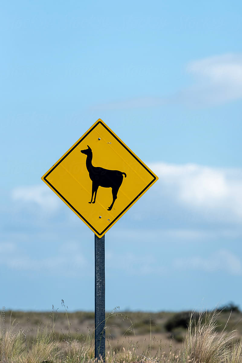 Guanaco warning sign