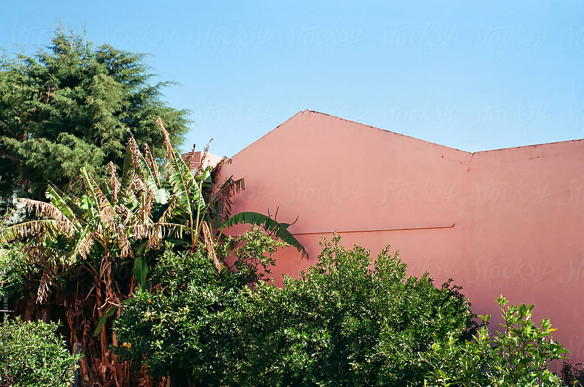 Minimalist pink wall of a house next to green tree and banana plant