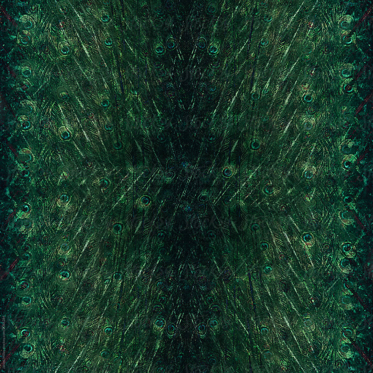 Background abstract Peacock feather pattern
