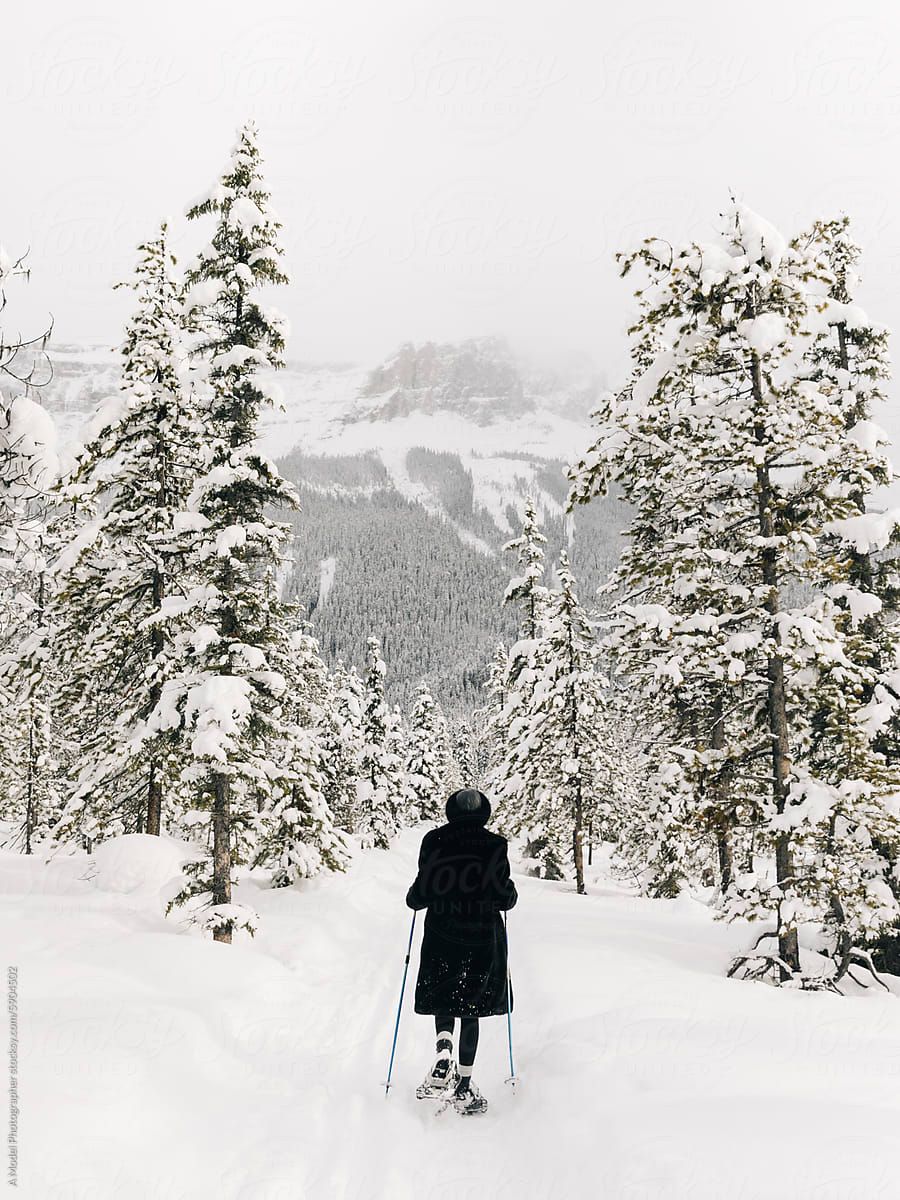 Winter walking in the snowy forest