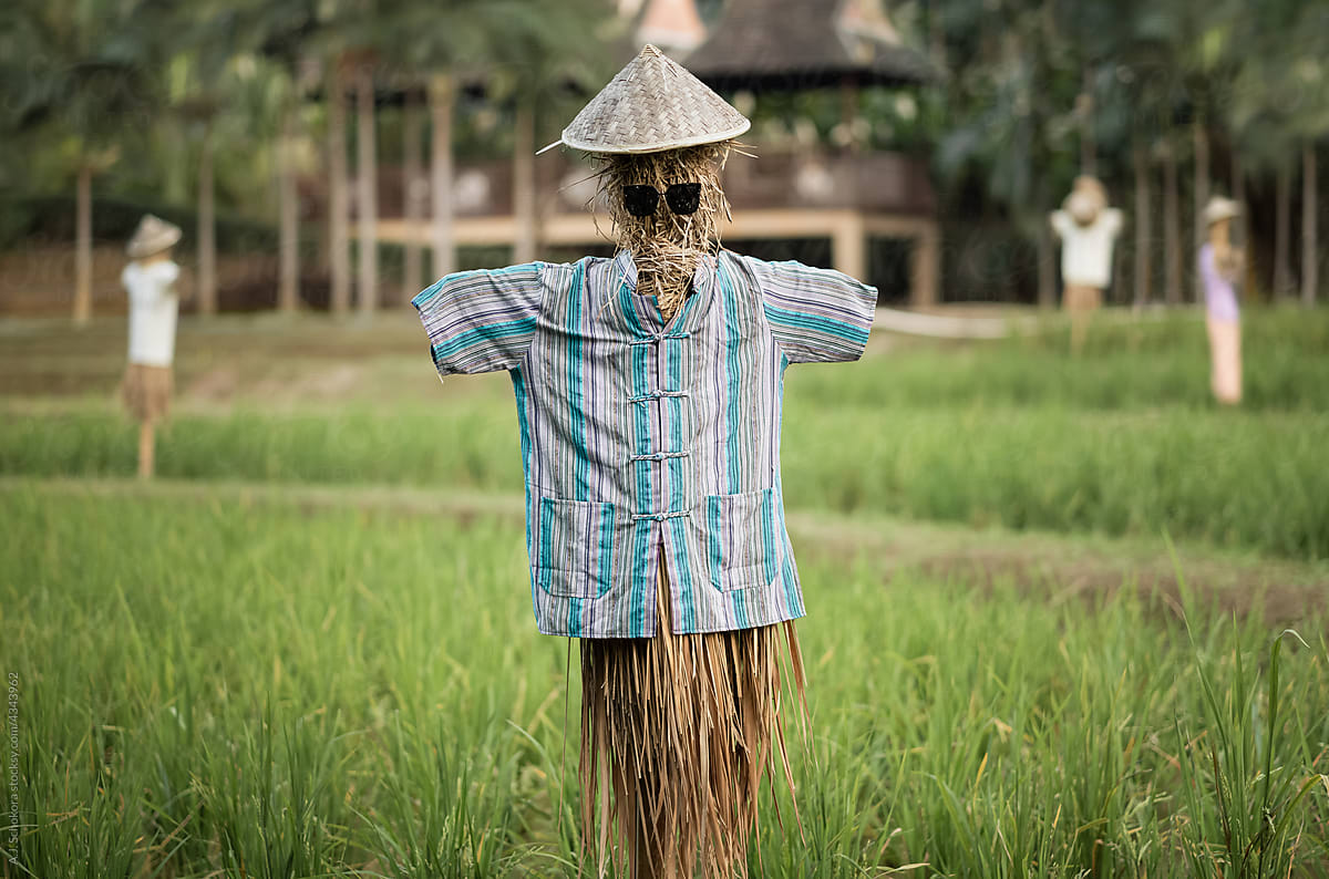 Hipster Scarecrow