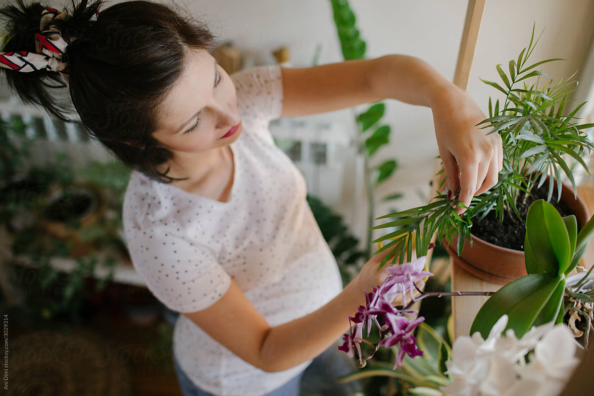 Pregnant Woman Taking Care And Watering Plants At Home
