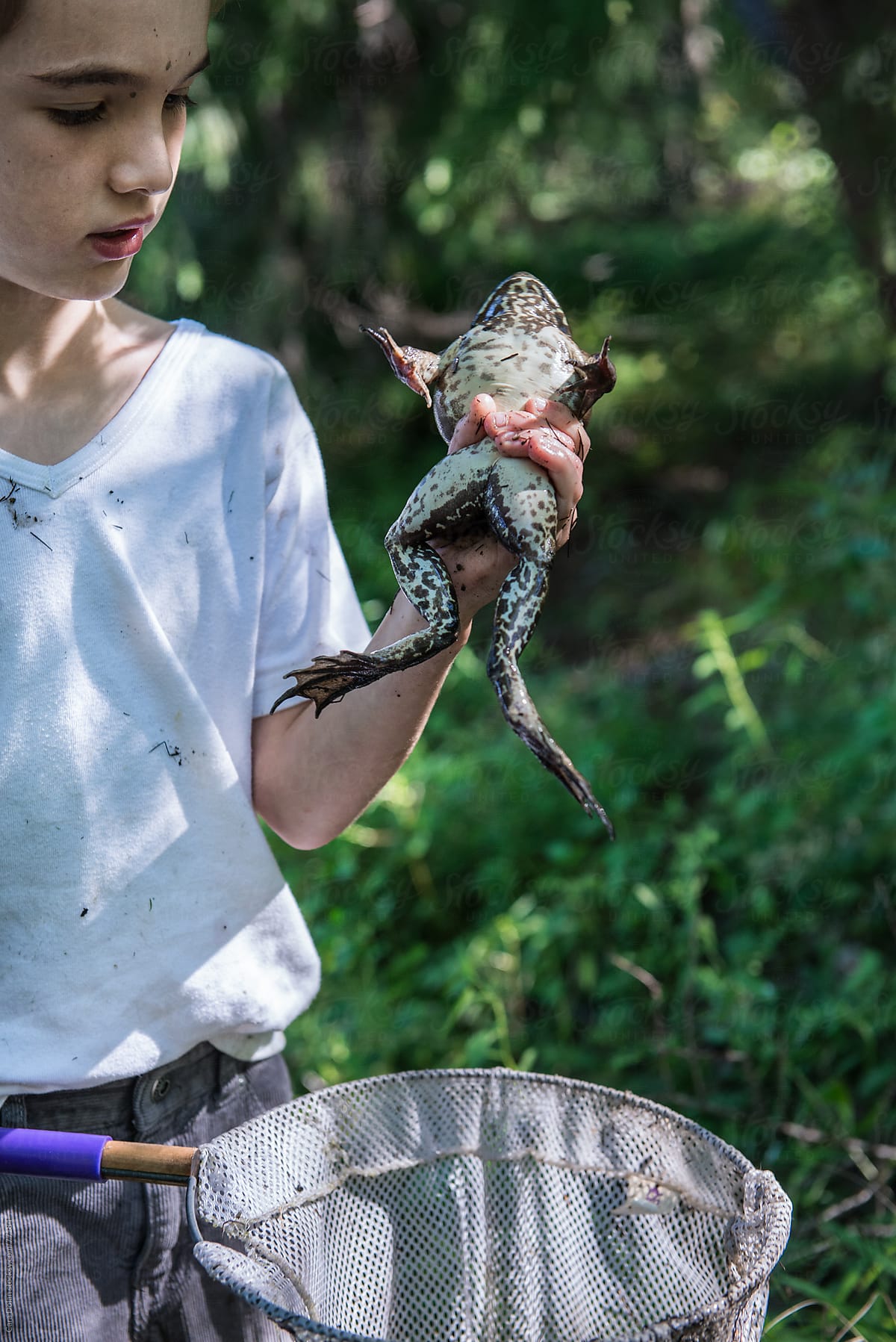 Boy With Net Holds A Large Bullfrog He Has Just Caught by Stocksy  Contributor Cara Dolan - Stocksy