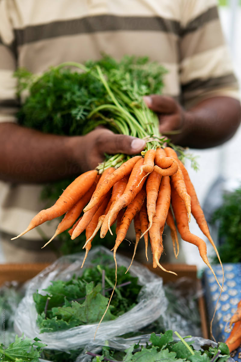 Market: Organic Farmer Holds Bunches Of Carrots