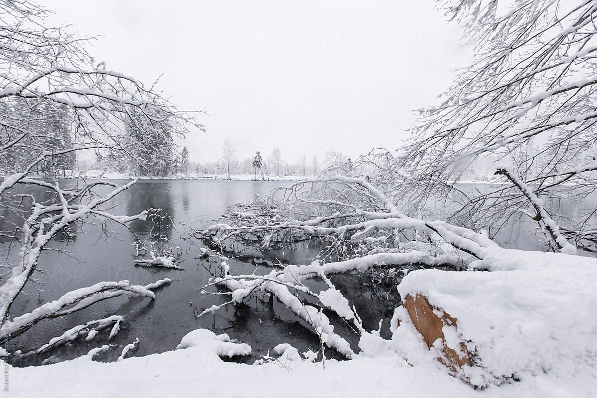Winter landscape of the lake Almsee in austria