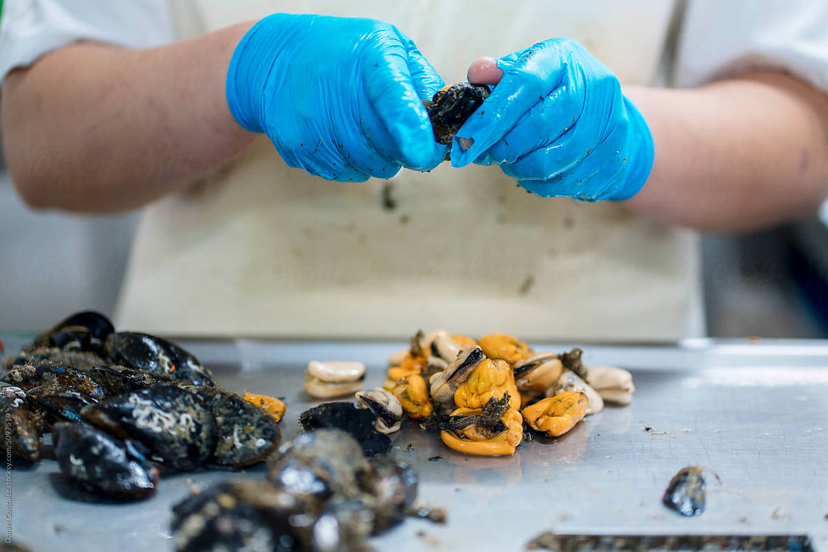 Crop person peeling mussels at work