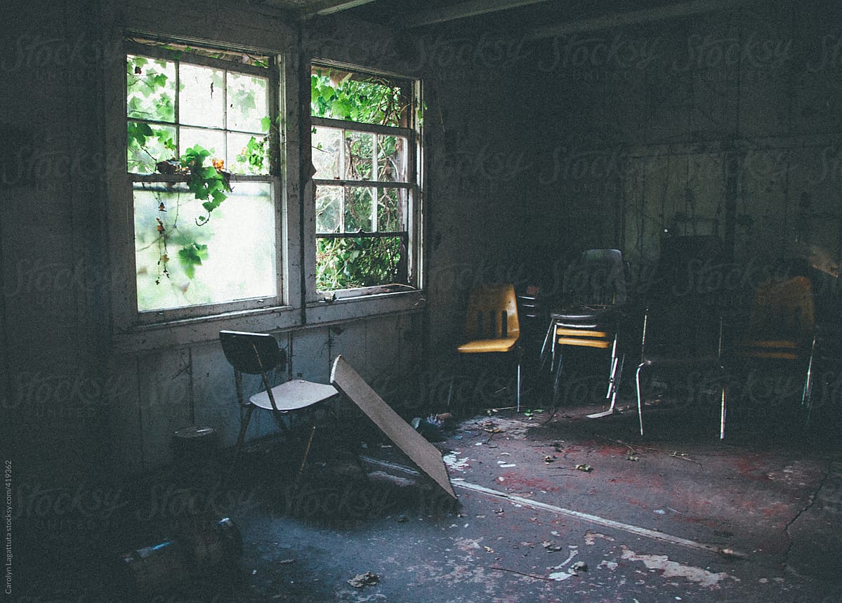 Abandoned schoolroom with chairs and ivy growing in through the window