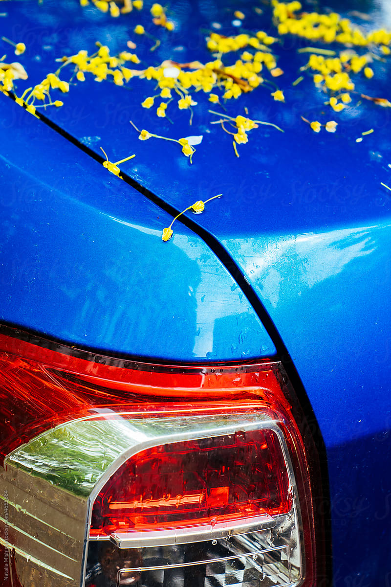 Blue car, exterior, taillights.