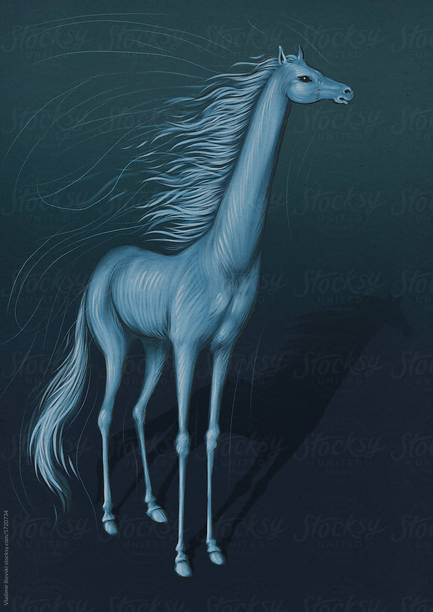 Blue horse at night