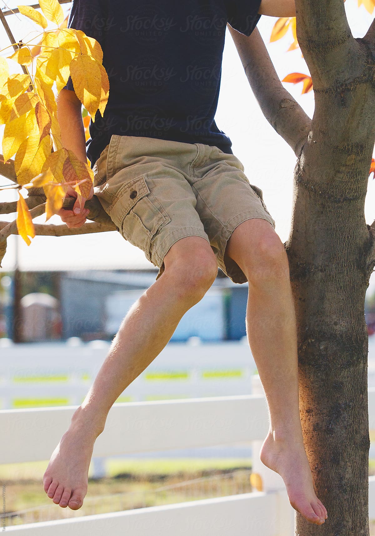 Series Of Young Boy Climbing In A Tree by Stocksy Contributor Tana Teel  - Stocksy