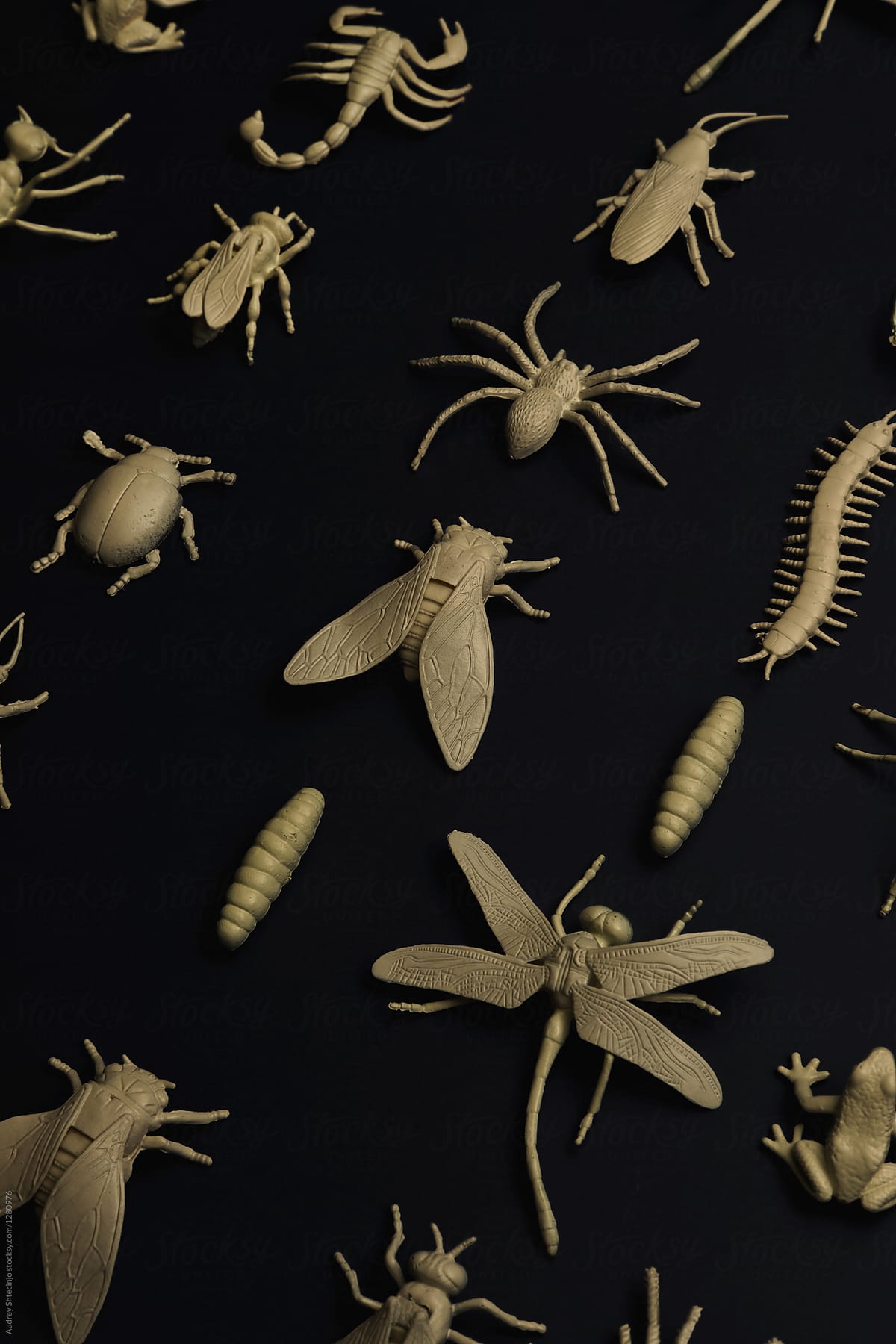 Insectorium/collection of bugs/insects.