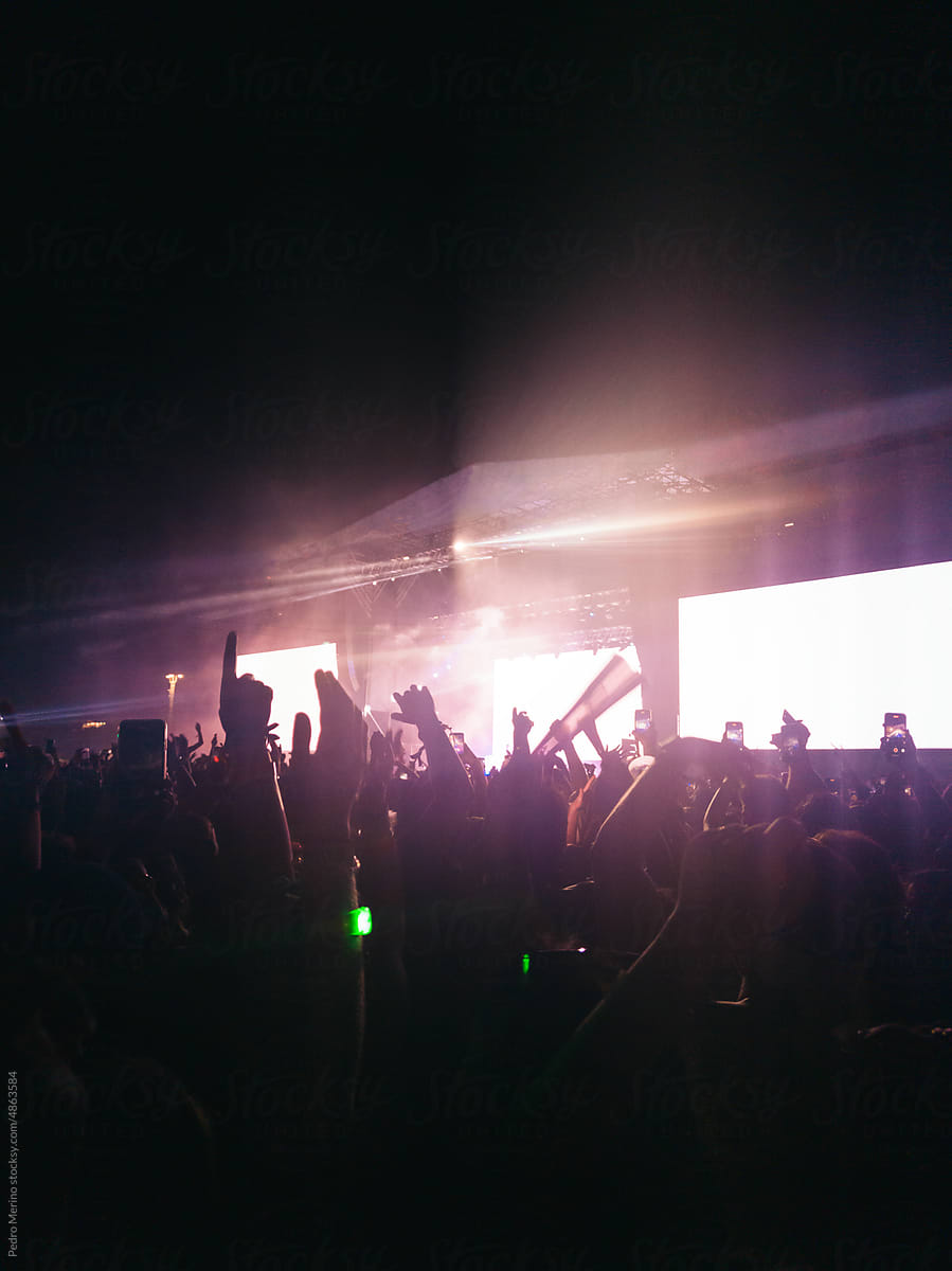 A crowd enjoying a concert at night