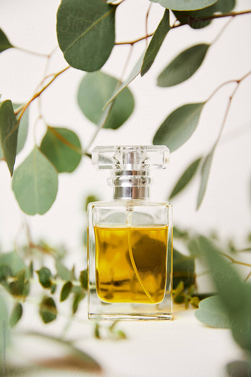 Perfume bottle with eucalyptus