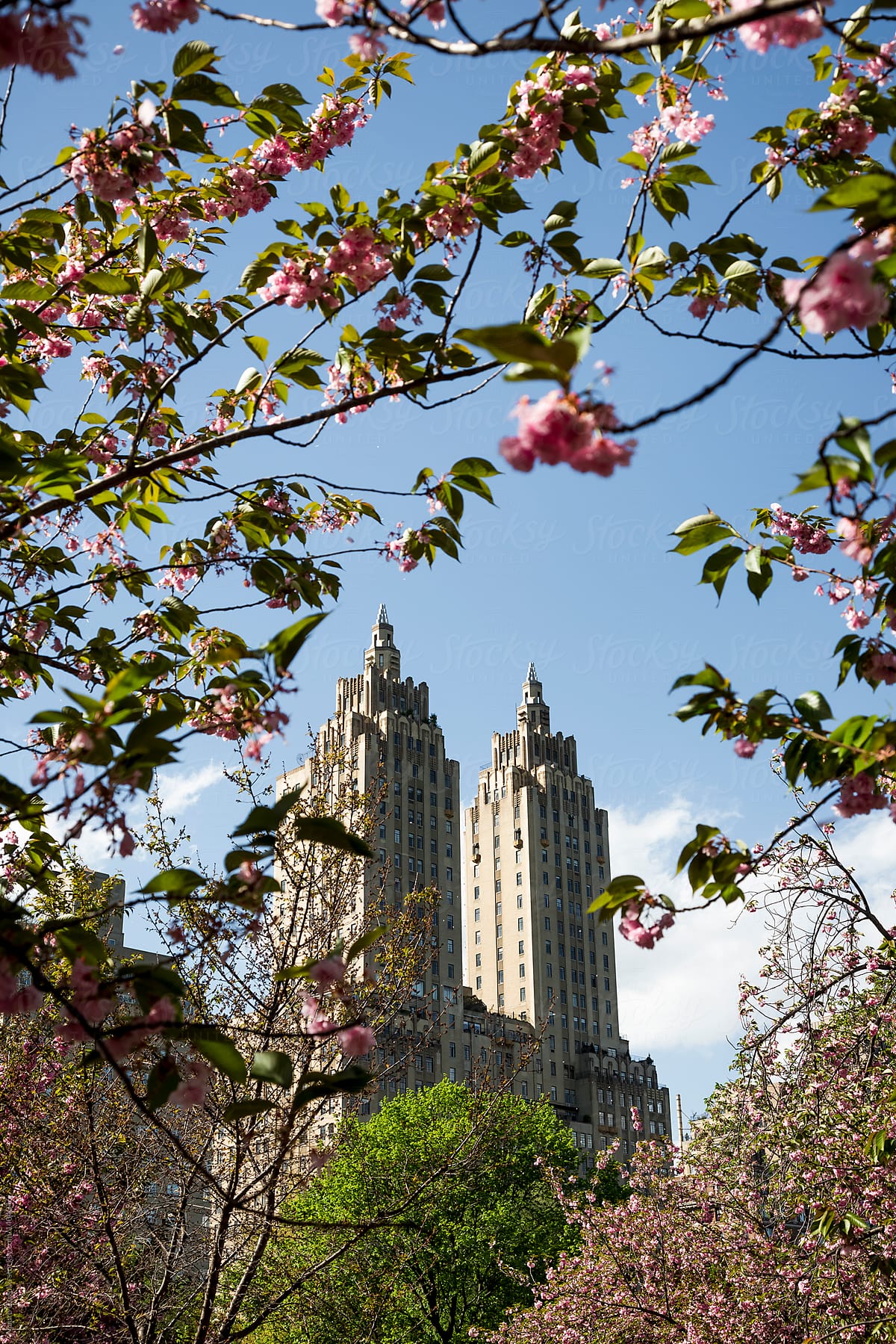 Springtime in Central Park, New York