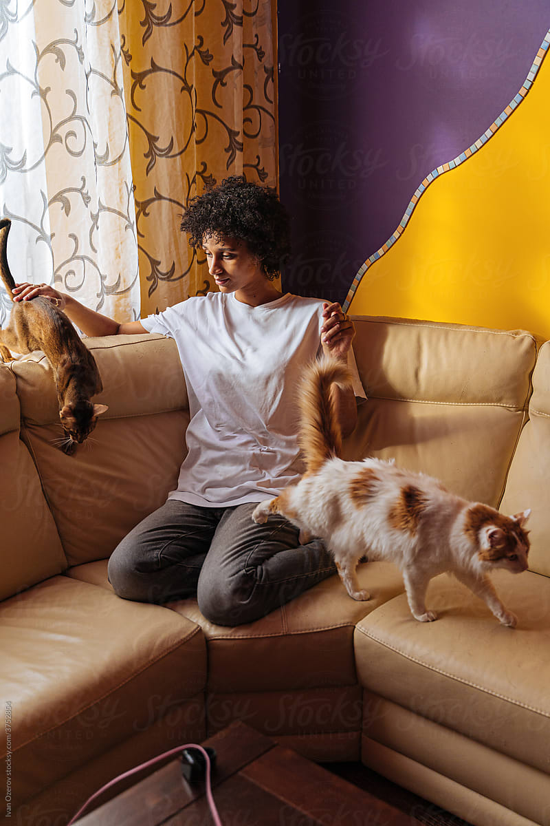 Black female owner playing with cats on couch