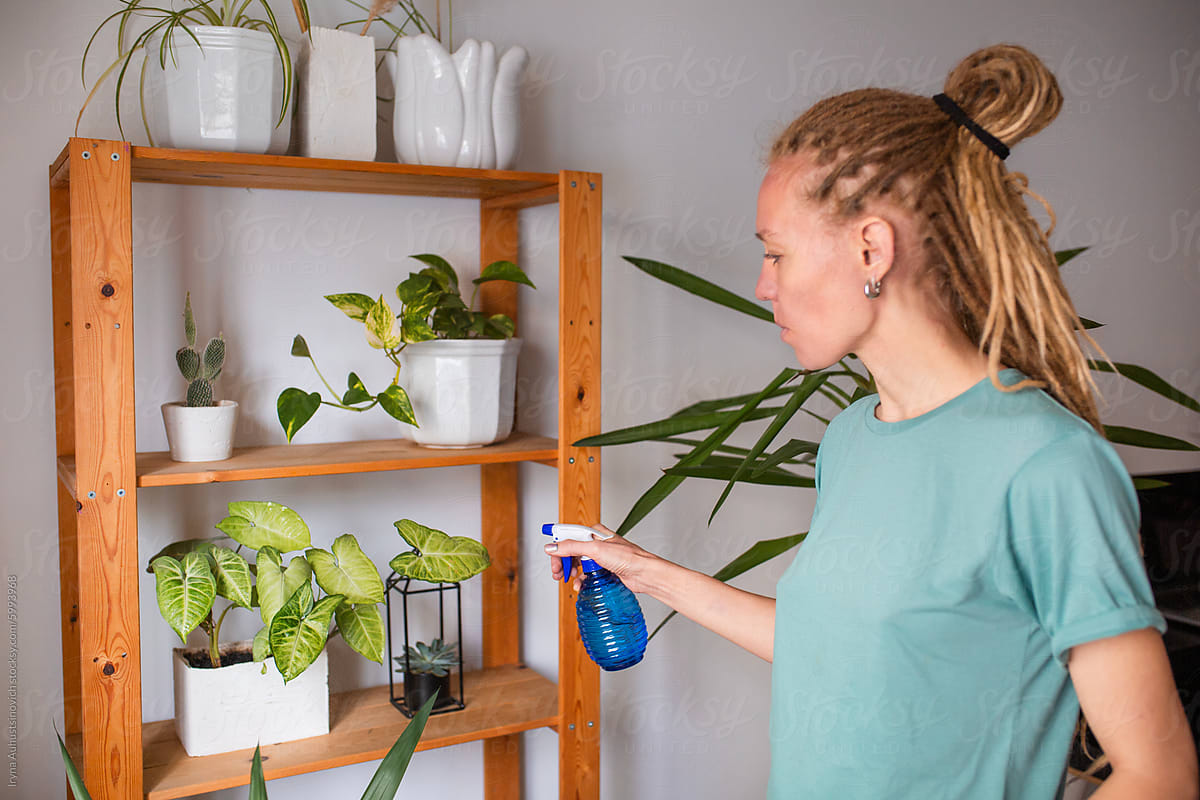 europenian woman take care about home plants
