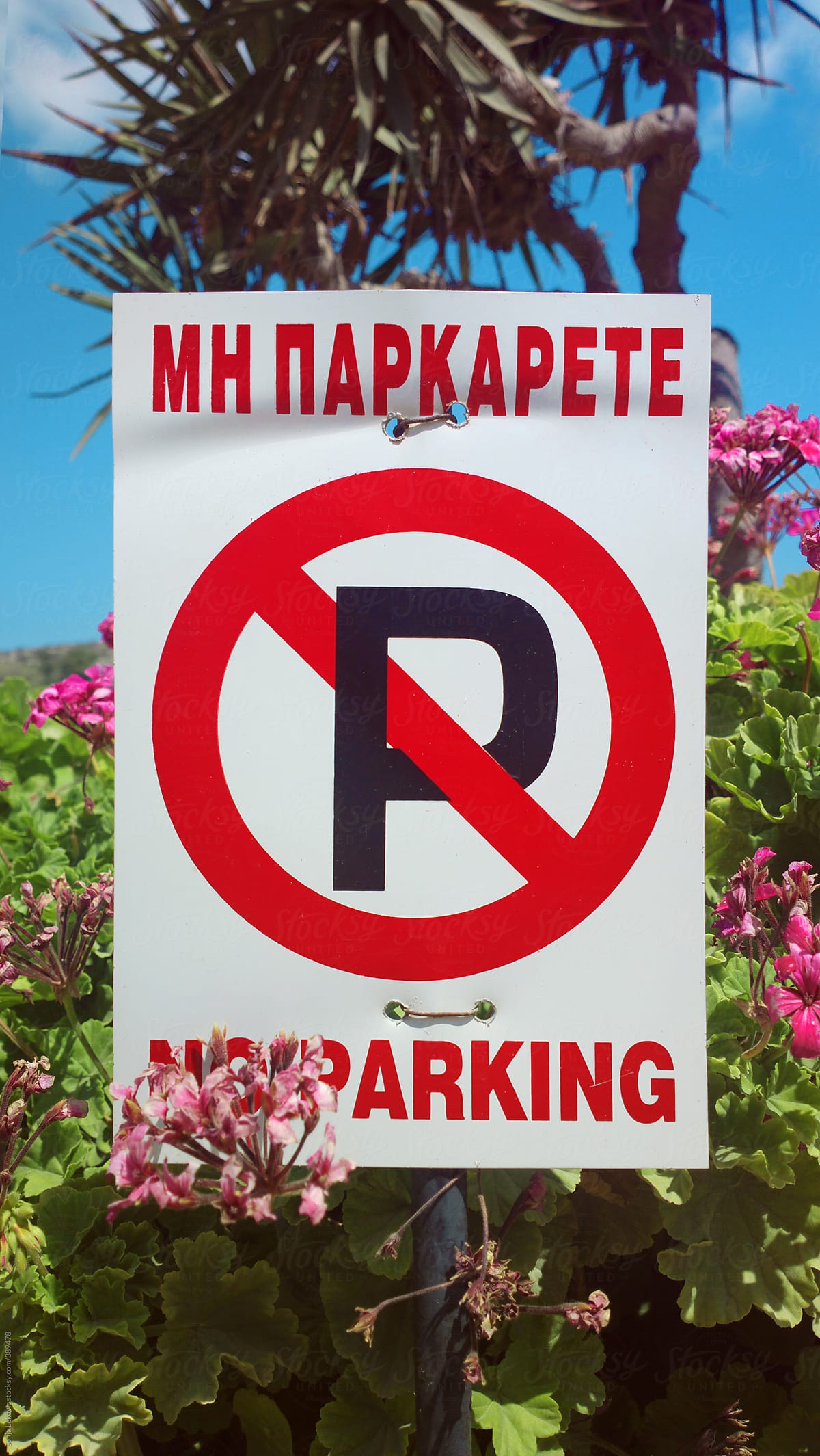 no parking sign, pink flowers and blue sky