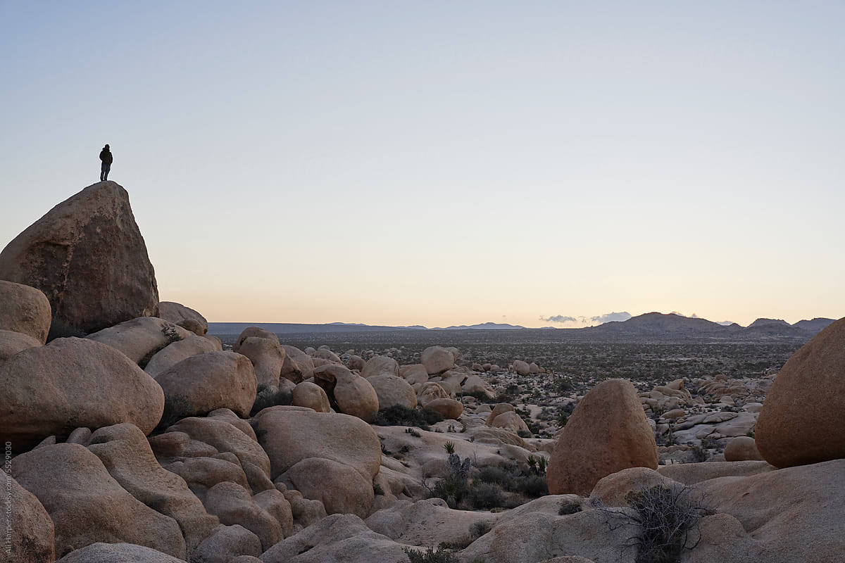 Man standing atop a large rock formation in Joshua Tree National Park