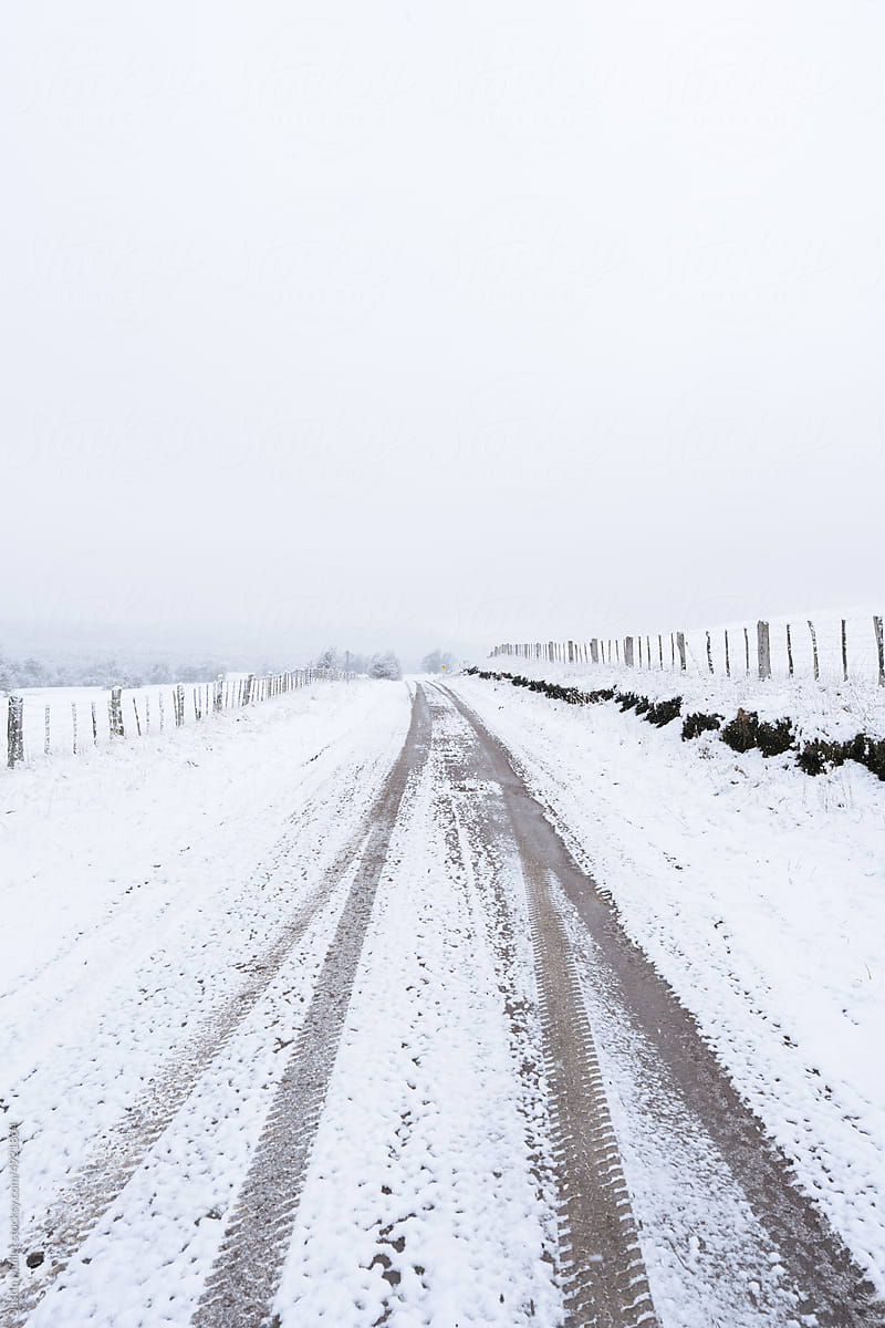 Snowy vehicle tracks on road
