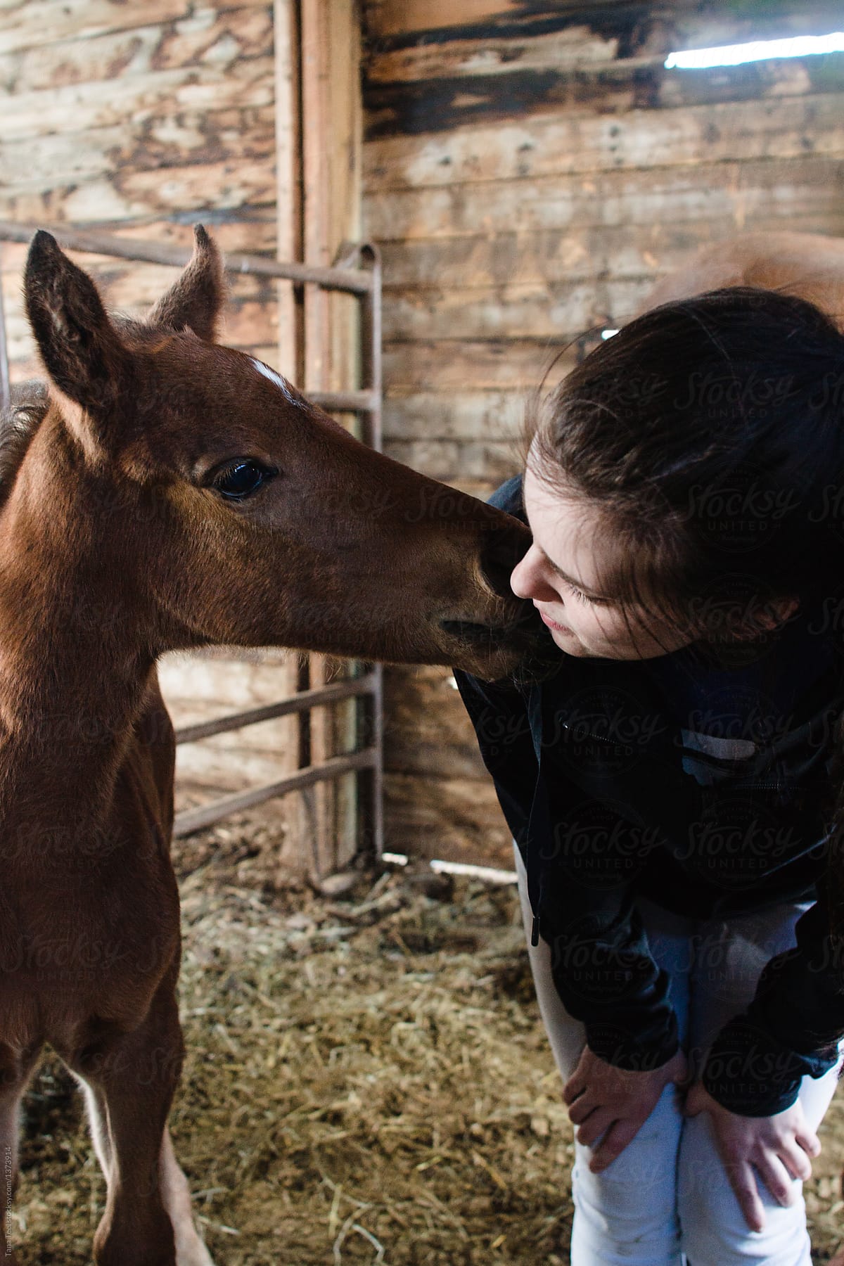 Teen Plays With Newborn Filly In Barn By Tana Teel Stocksy United