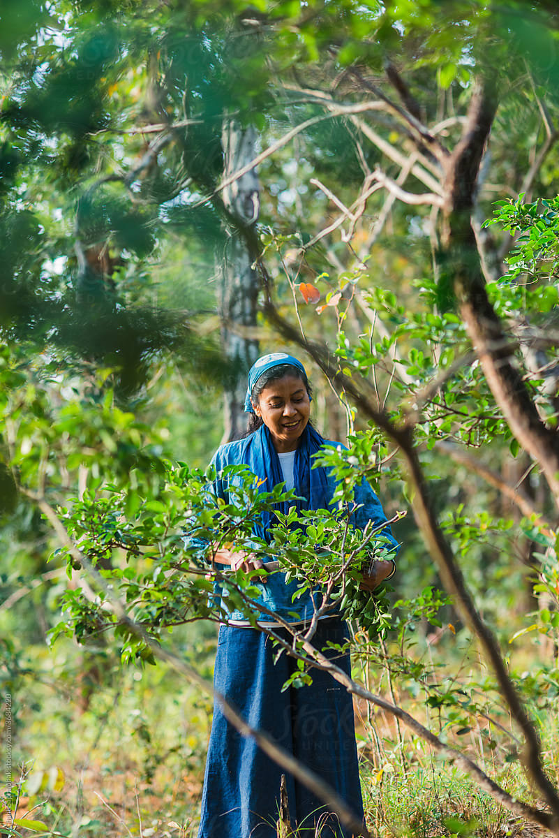 Woman harvesting leaves