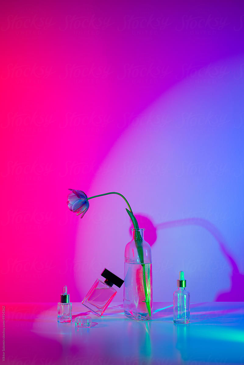 Futuristic cosmetics and fragrance in neon light. Tulip flower.
