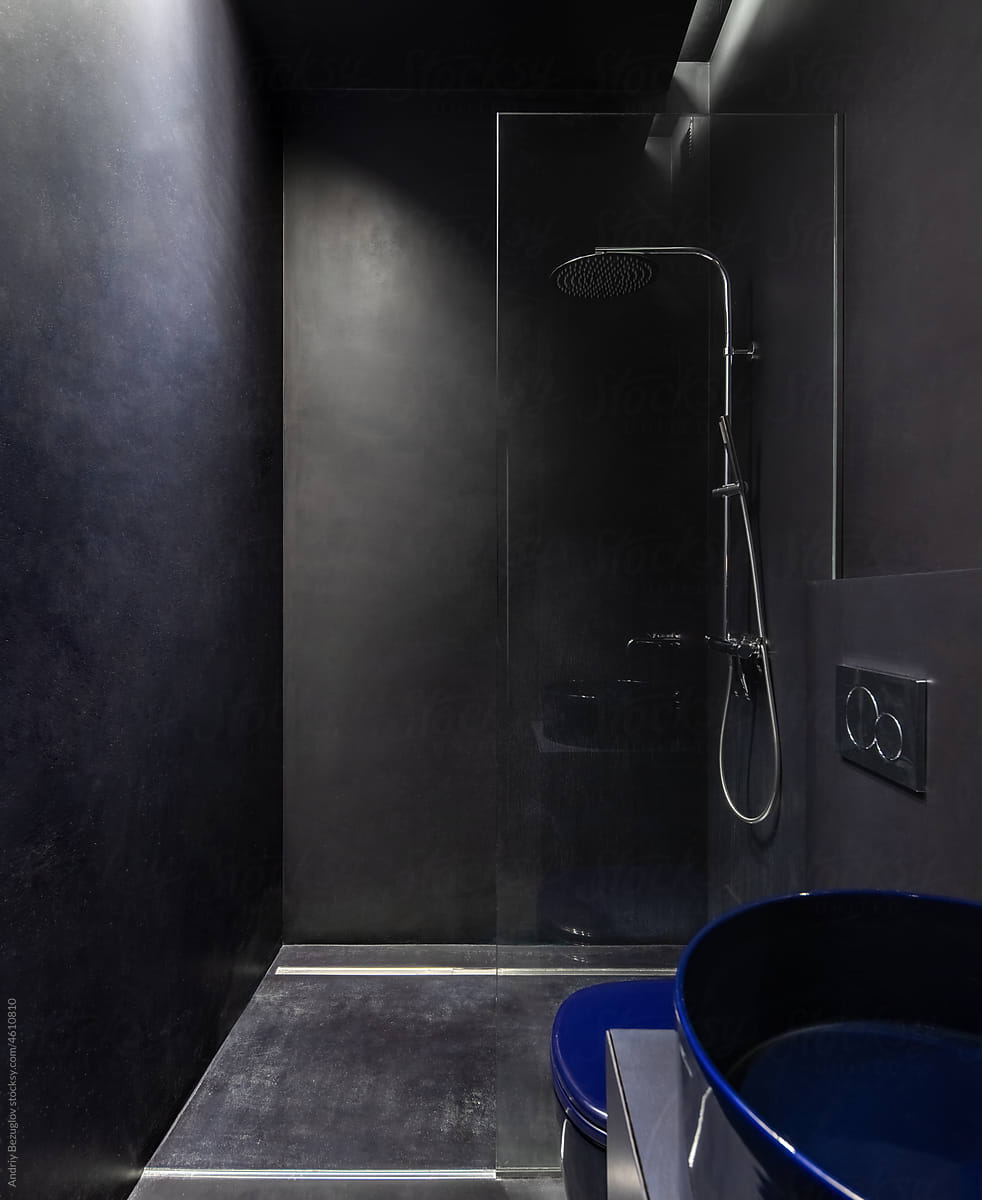 Bathroom in contemporary style with dark walls
