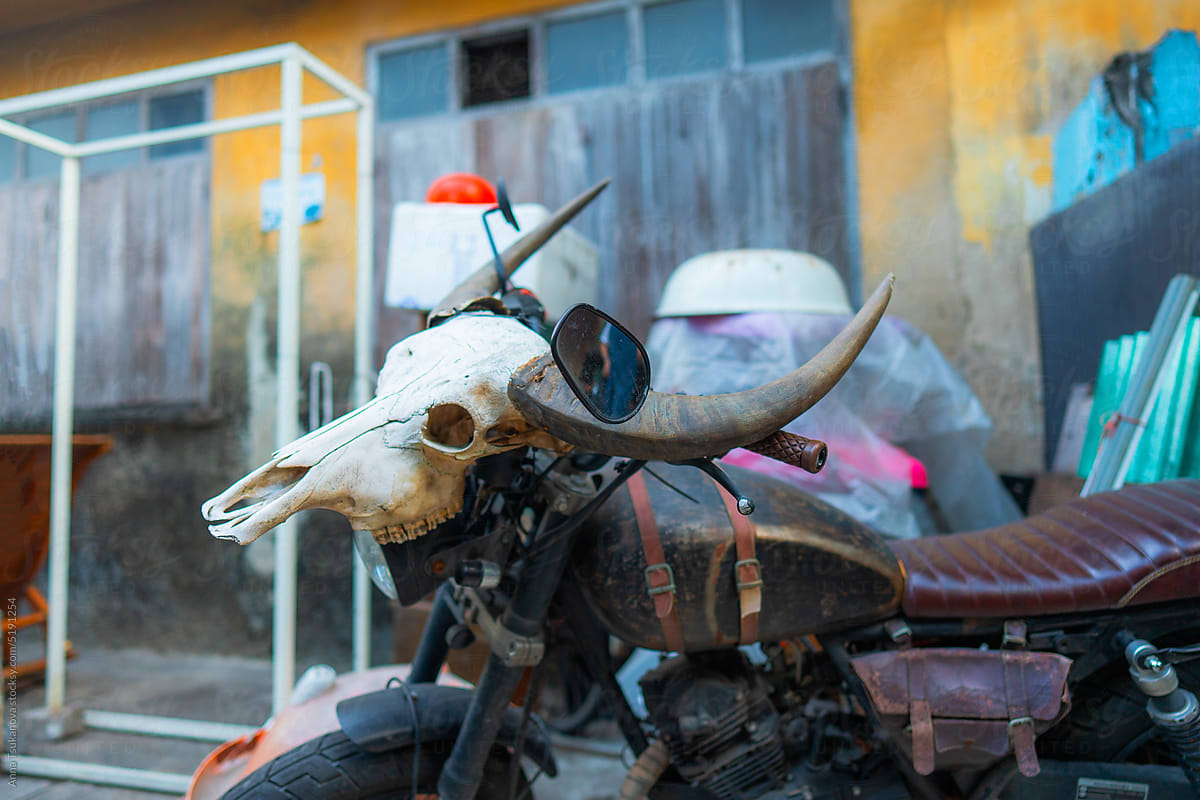 Motorcycle with bull skull