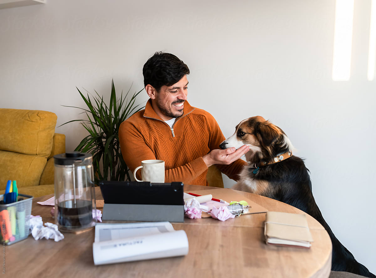 Smiling man caressing his dog while arranging bills at home
