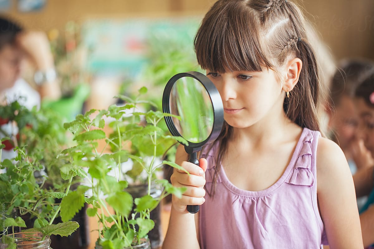 Girl With a Magnifyling Glass in a Biology Lesson
