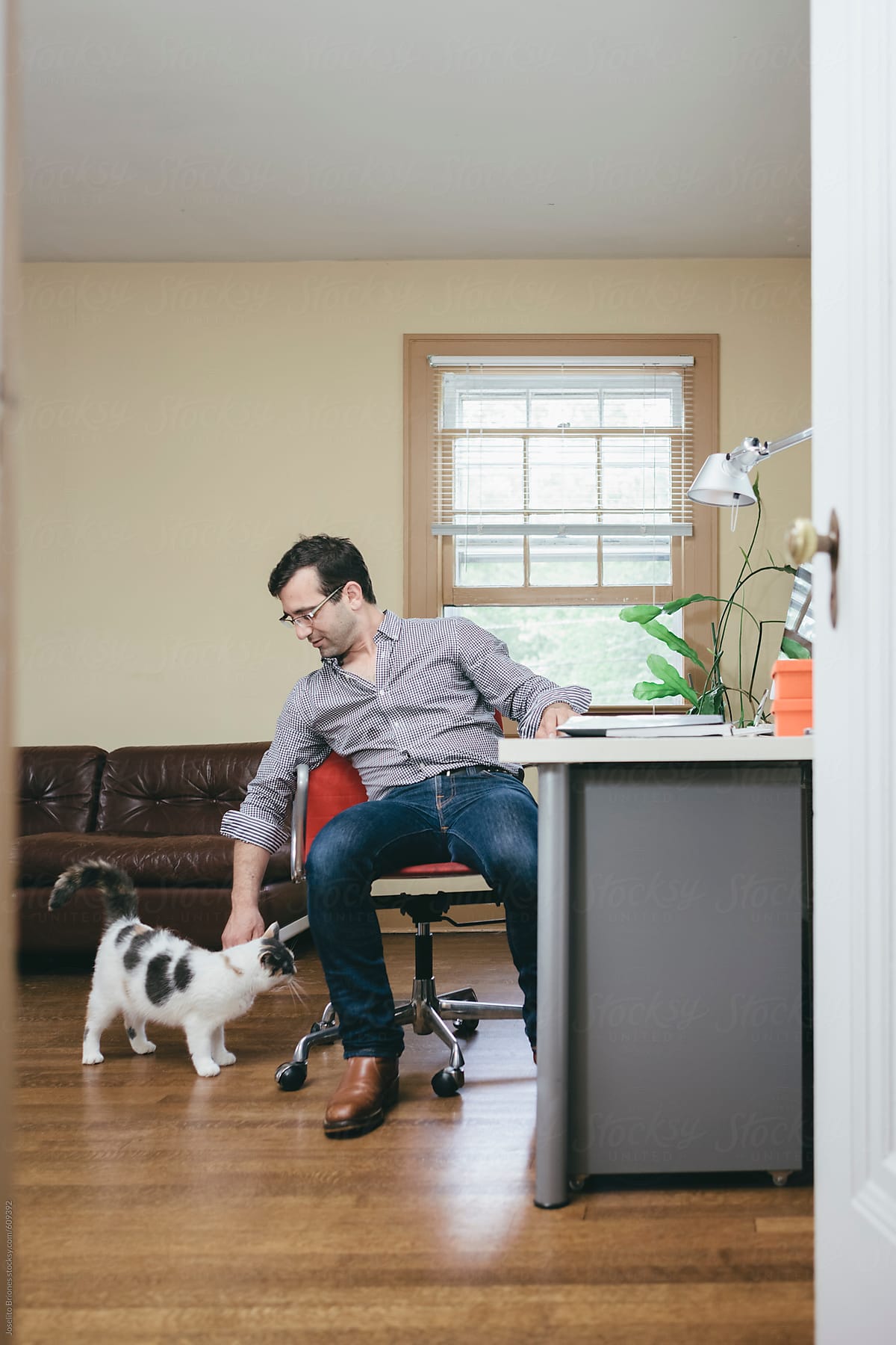 Home-Based Business Office Worker Working at Home with Pet Cat