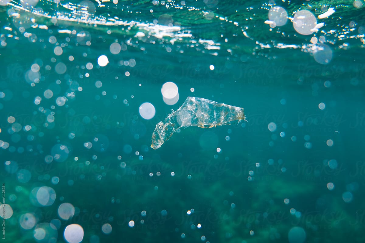 Piece of plastic waste floating in open blue sea
