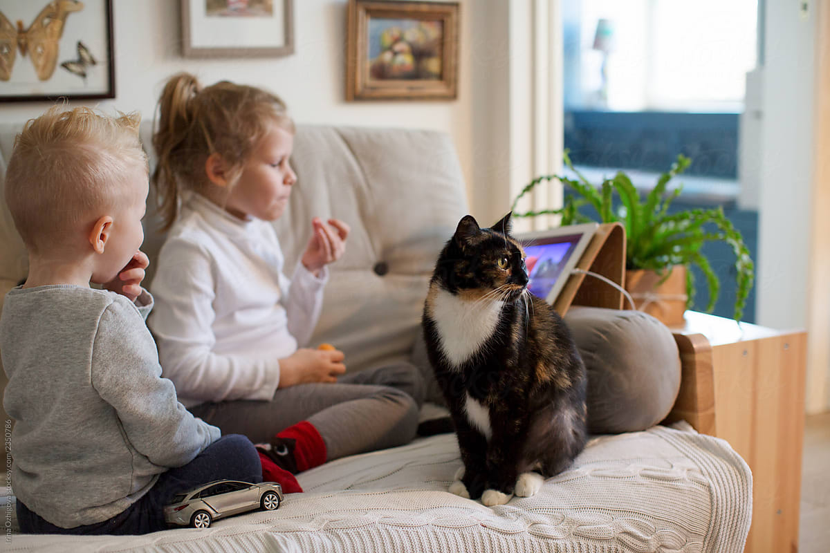 Kids with a cat are sitting on the couch