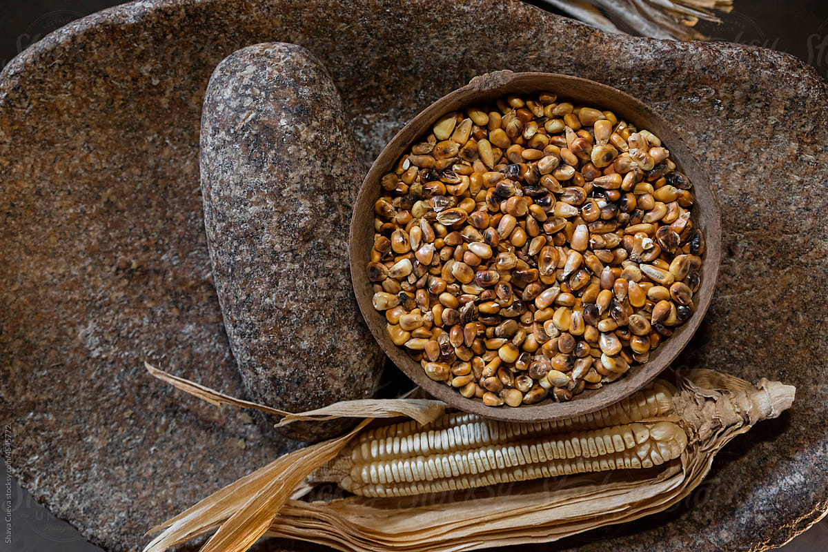Corn with its leaf and a jícara with kernels inside of it on a metate