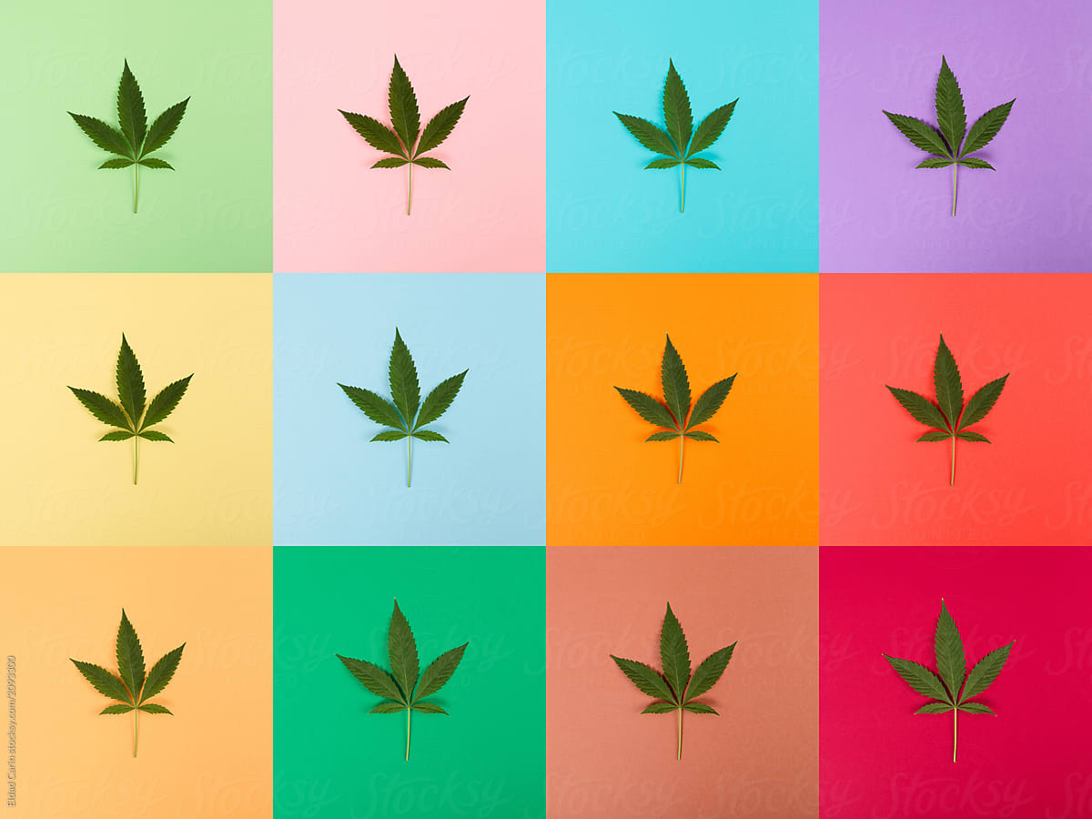 Cannabis Leaf Colorful Collage