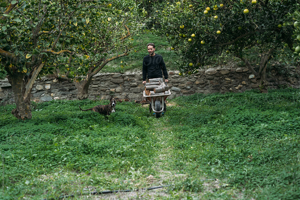 Man carrying wheelbarrow and walking with dog in garden