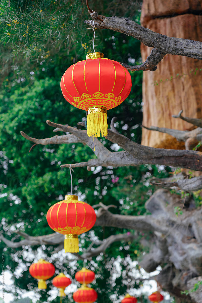 Chinese lunar new year lantern decoration