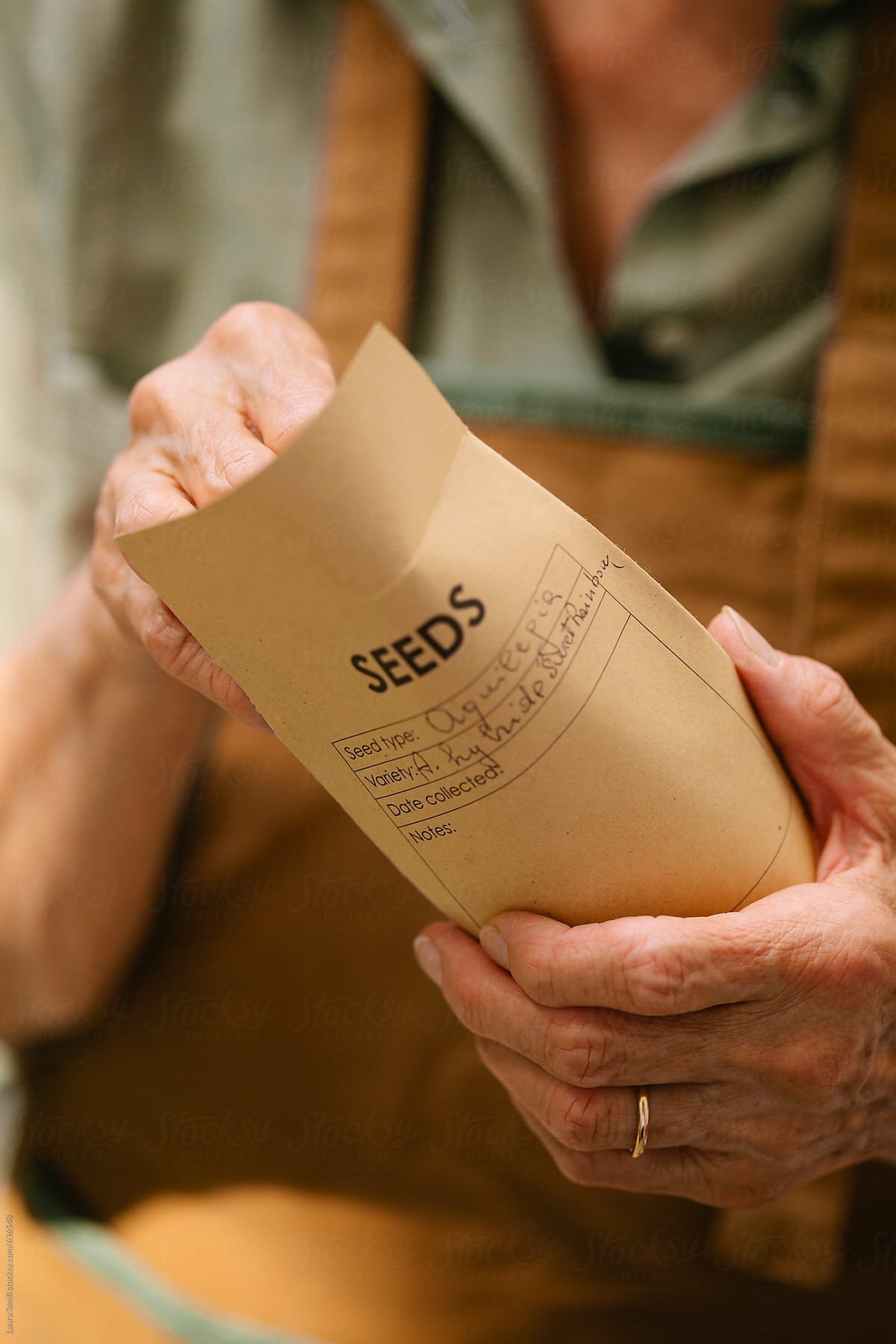Home collected seeds bag in woman\'s hands
