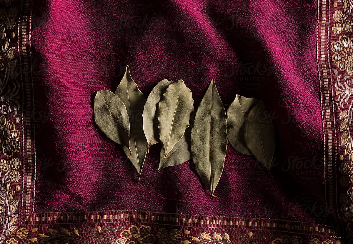 Bay Leaves on Purple with Copyspace