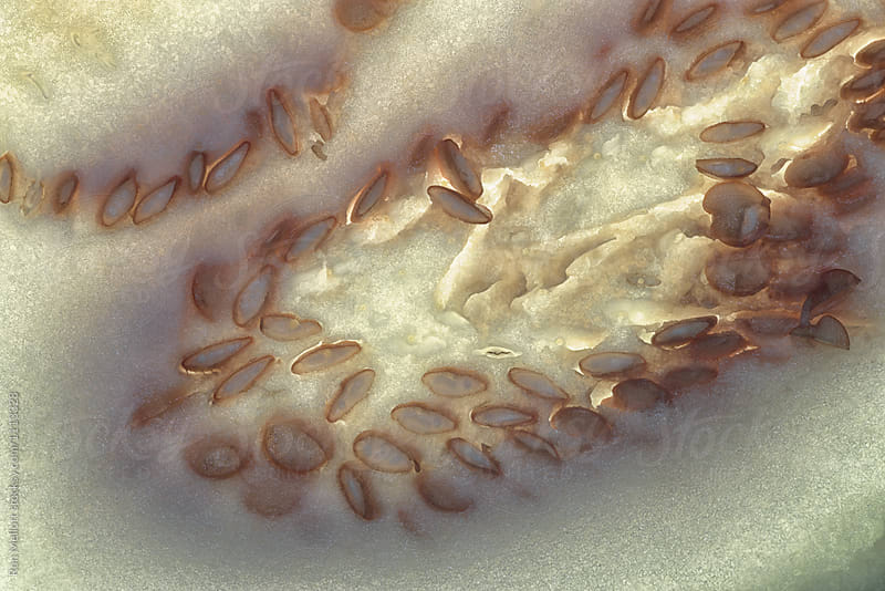 Closeup of patterns in the flesh and seeds of an eggplant (Solanum melongena)