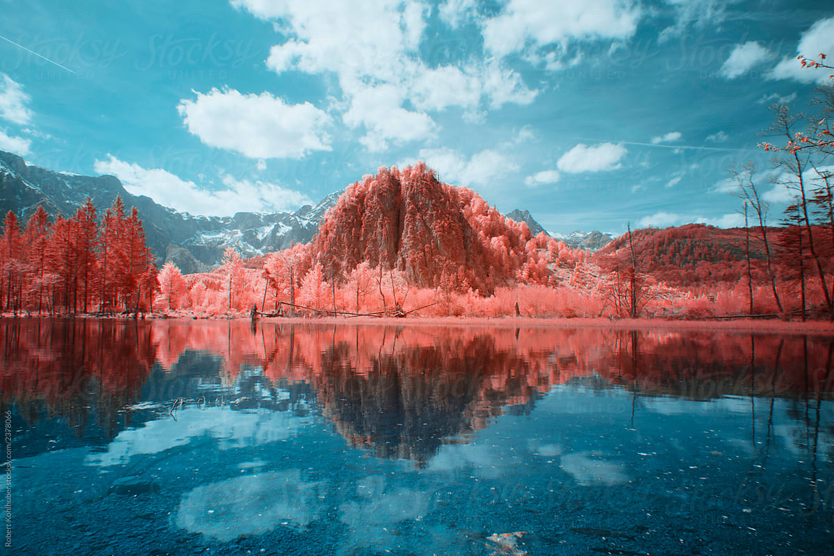  Lake With Forest Shot In Infrared Del Colaborador De Stocksy Robert 