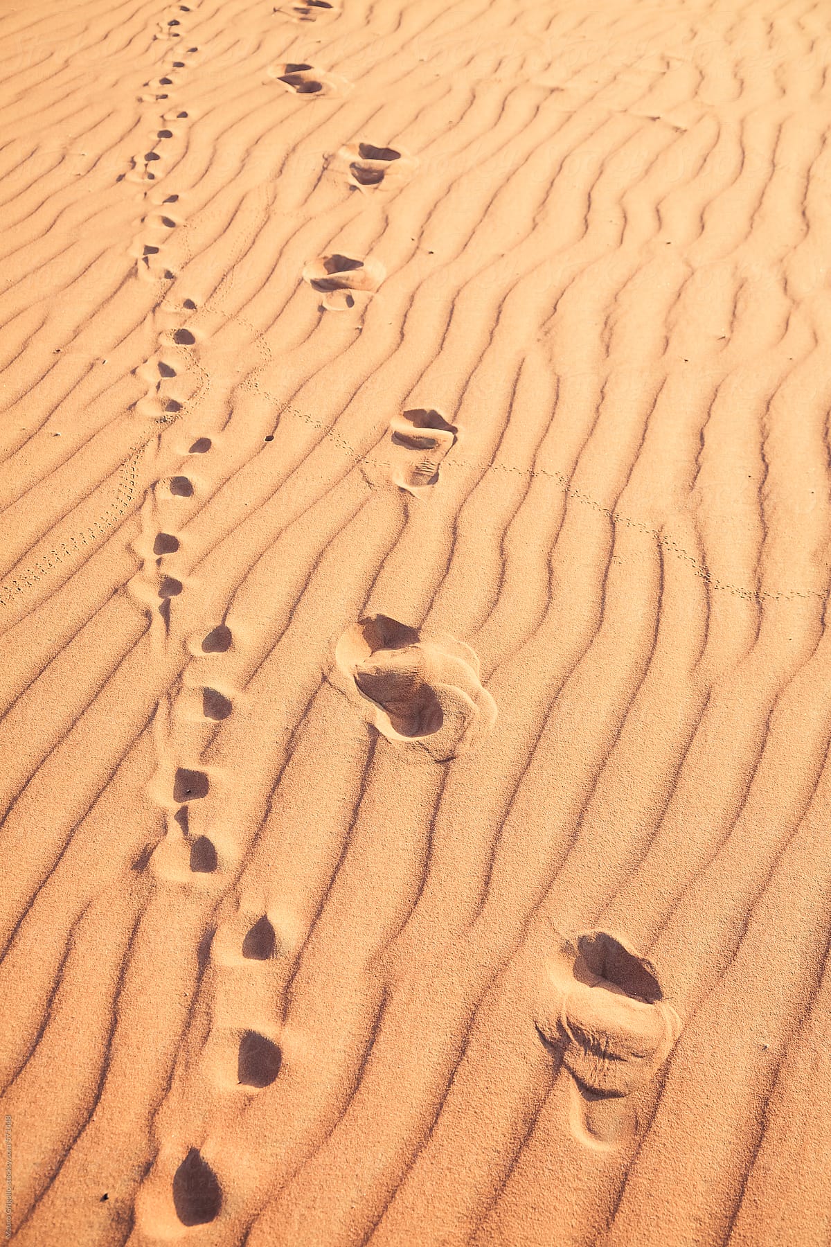 Footprints on the sand in the desert